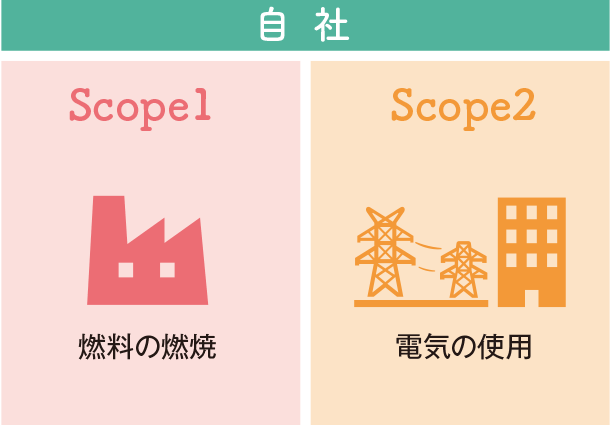 自社 Scope1 燃料の燃焼 Scope2 電気の使用